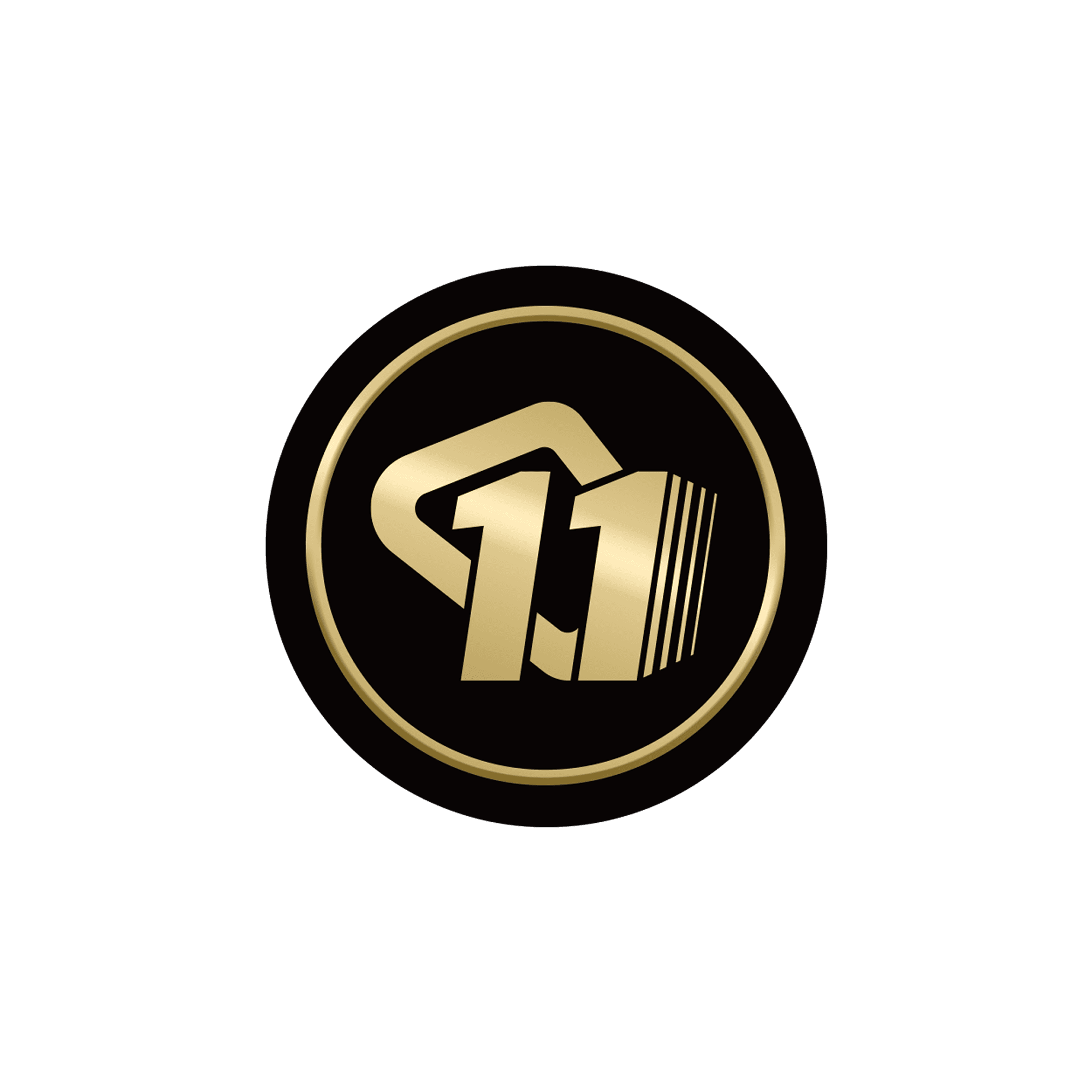 11th Birthday Badge for TactSuit Pro